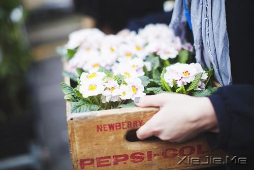 ���������Щ�����ʺ��������� (2)