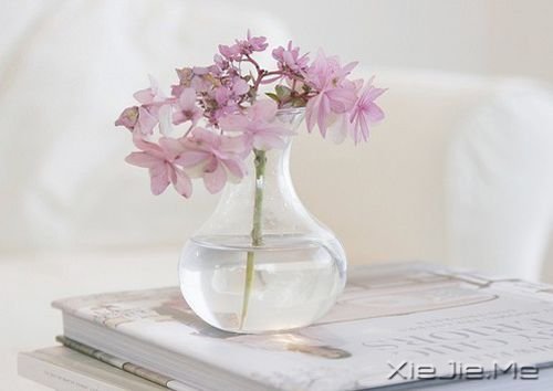 晚安心语:你笑,全世界跟着笑 (5)