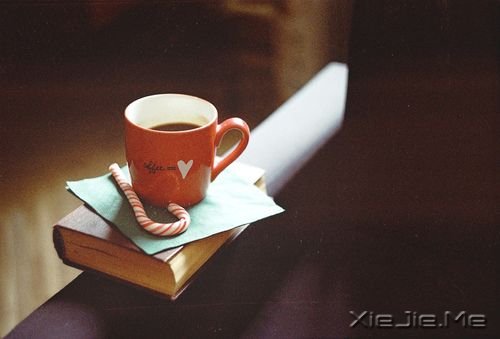 早安心语:幸福就像你身后的影子 (2)