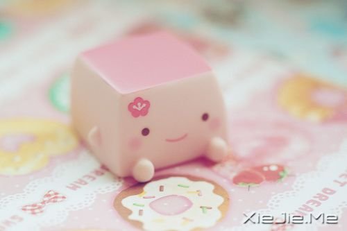 晚安心语:不要为旧的悲伤,浪费新的眼泪 (10)