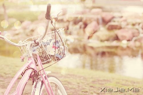 早安心语:当我对你越来越礼貌时,我们或许就越来越陌生了 (8)