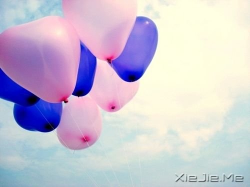 ��������ܶ����飬�Լ�֪���ͺ� (4)