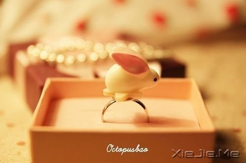 �簲�����������ϧδ�õ��ģ�����������ӵ�е� (2)