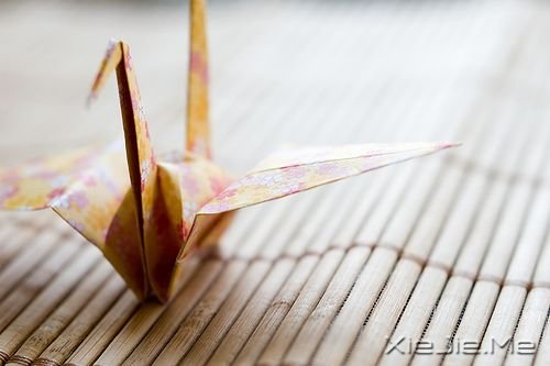 С����ͼƬ (6)