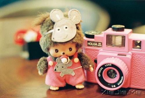 你存在,整个世界才存在 (9) 小清新图片 (9)