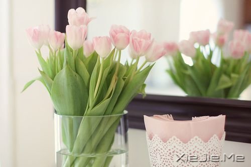 С����ͼƬ (2)