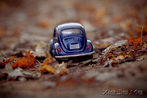 早安心语:思念是糖,甜而忧伤 (4)