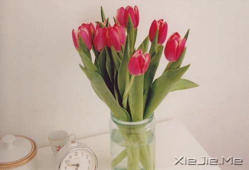 ��ʮ������������Ҫ��ϧ