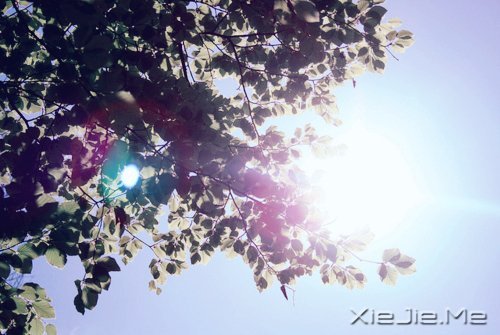 ������¼��һ���˵���ĵ��� (5)