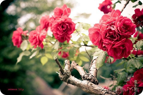 Ϊʲô������ȥ���������ѹ���