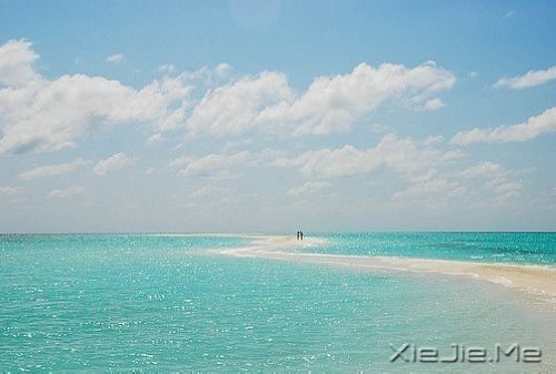 �����⾭��ʫ��15��