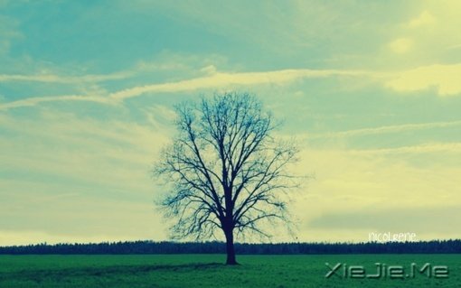 ���Ƕ�֪��Ŭ�����Խ�������Ϊʲô���ǲ�Ŭ���أ�