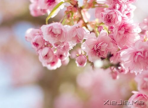 ��һ����ʱ��ı��Լ� (2)