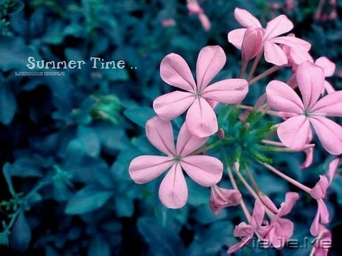 ���޷������롱���Ϲ�