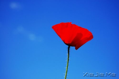 03083 (1) 豁达人生必备的8味良药 (1)