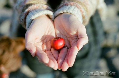 ����ϵͼƬ (1)