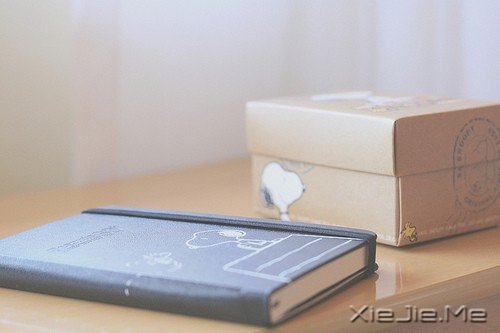 9������Ҫ������̬��